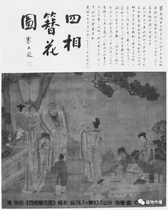 图1.png